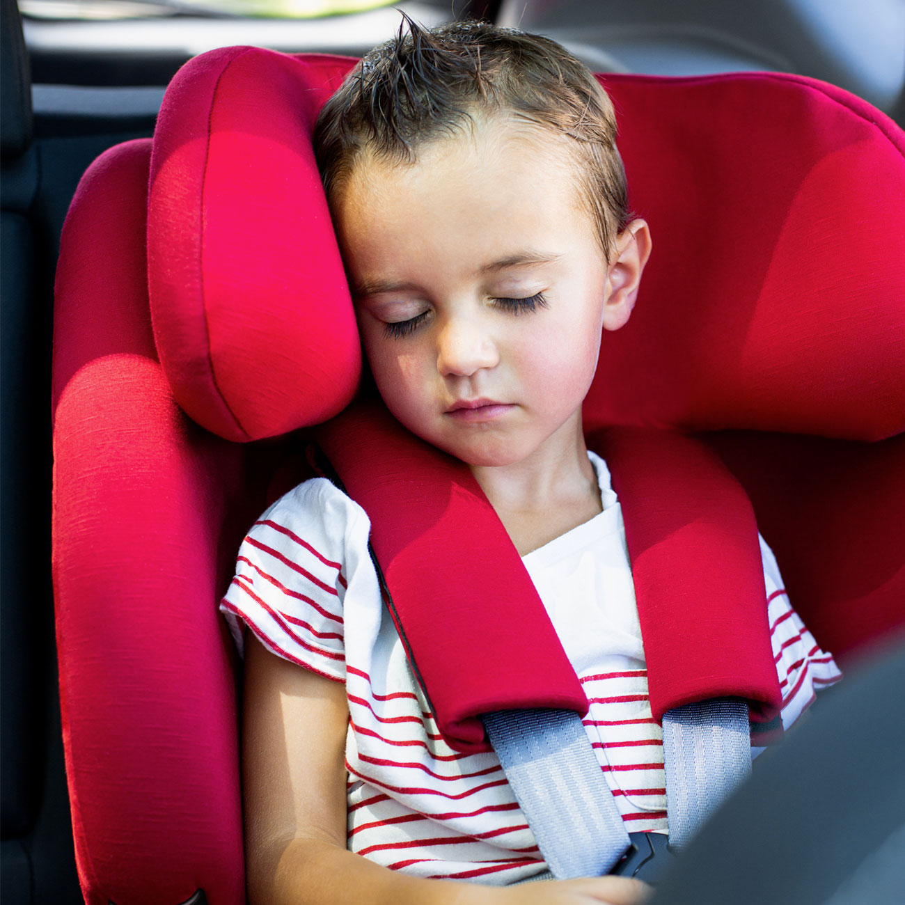 3 year old asleep child in a comfortable Renolux car seat Olymp